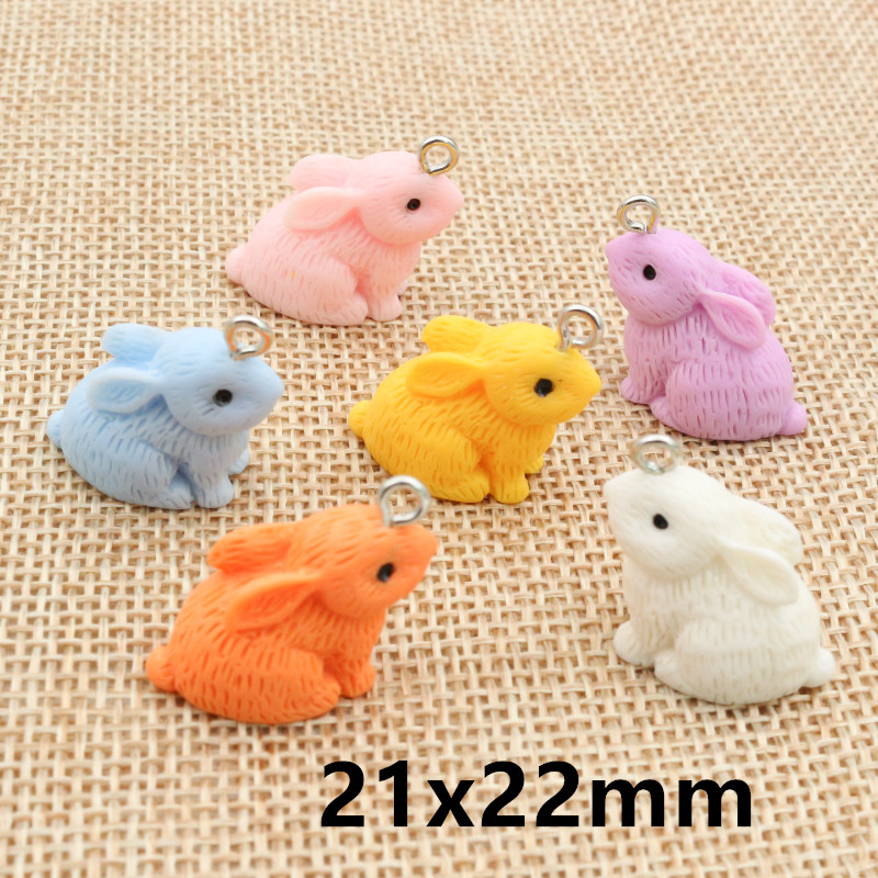 10PCS Resin Pendant Charms Rab - đánh giá và giá Resin Art Supplies
